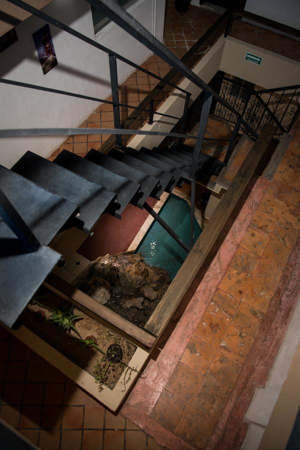 Deja Hostel Playa del Carmen Eksteriør billede