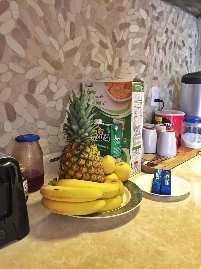 Deja Hostel Playa del Carmen Eksteriør billede